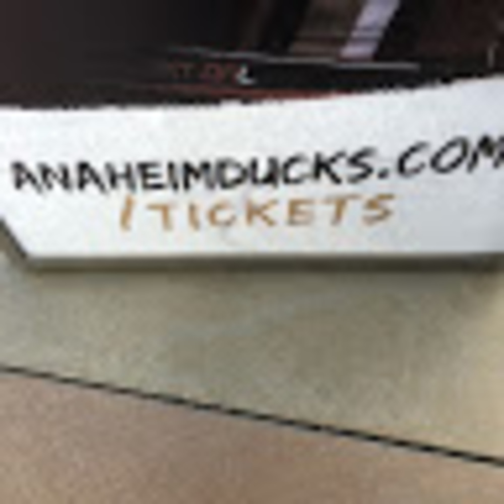 Meet your Posher, Ellie